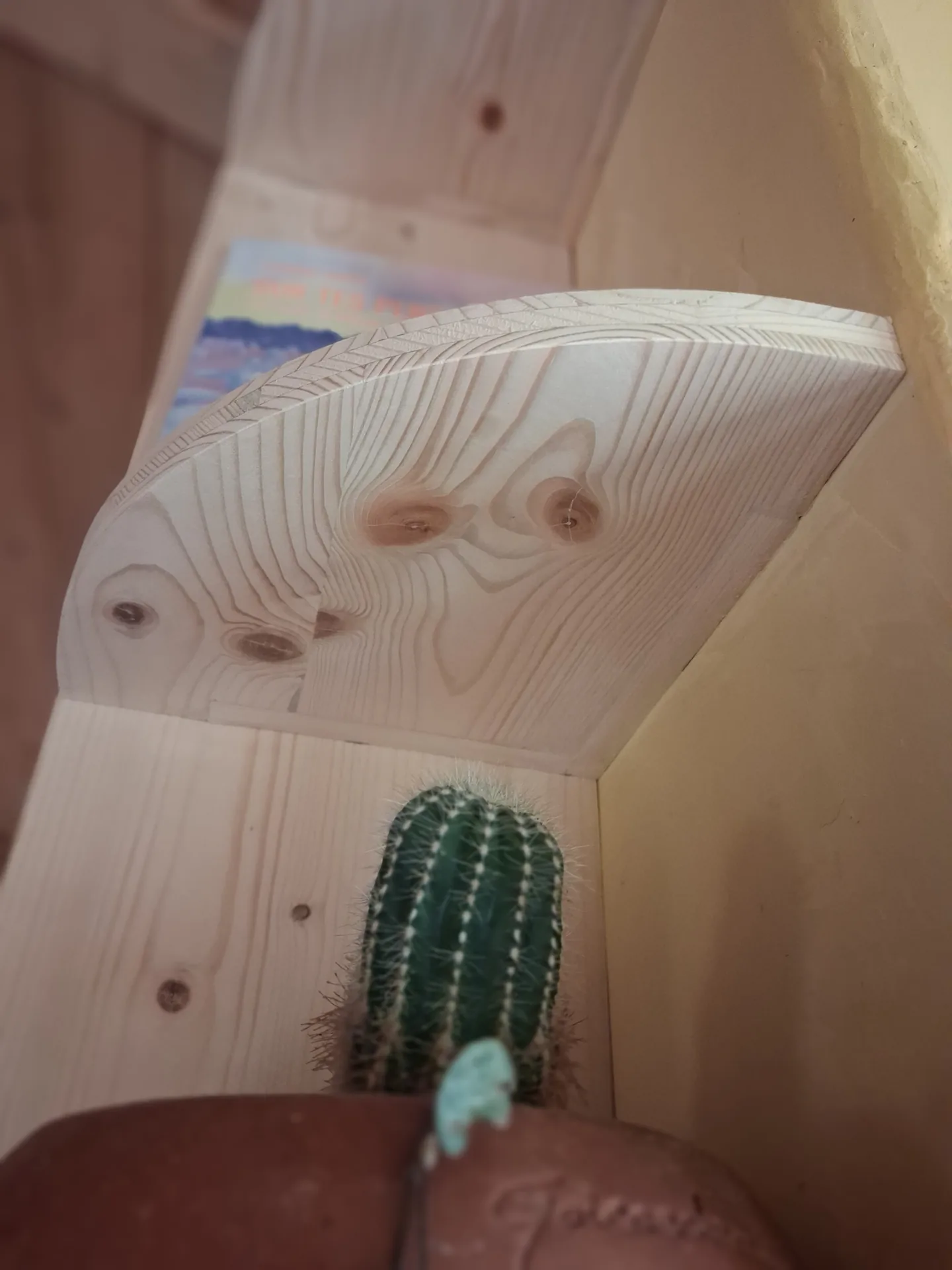 Detail of a rounded spruce shelf on an invisible fixing