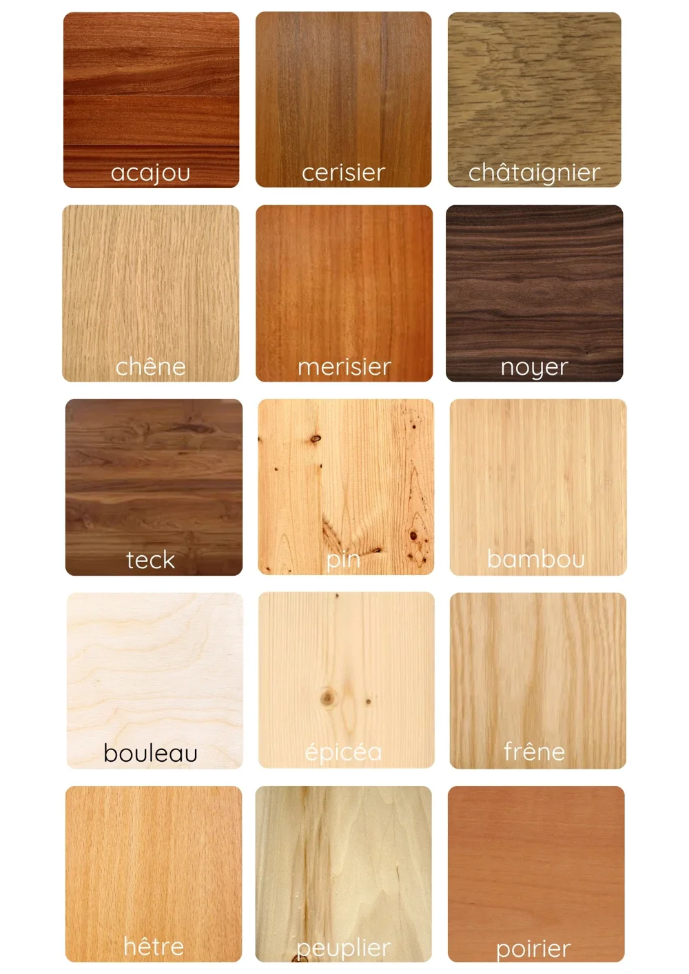 Colour chart of fifteen labelled wood species, from mahogany to pear
